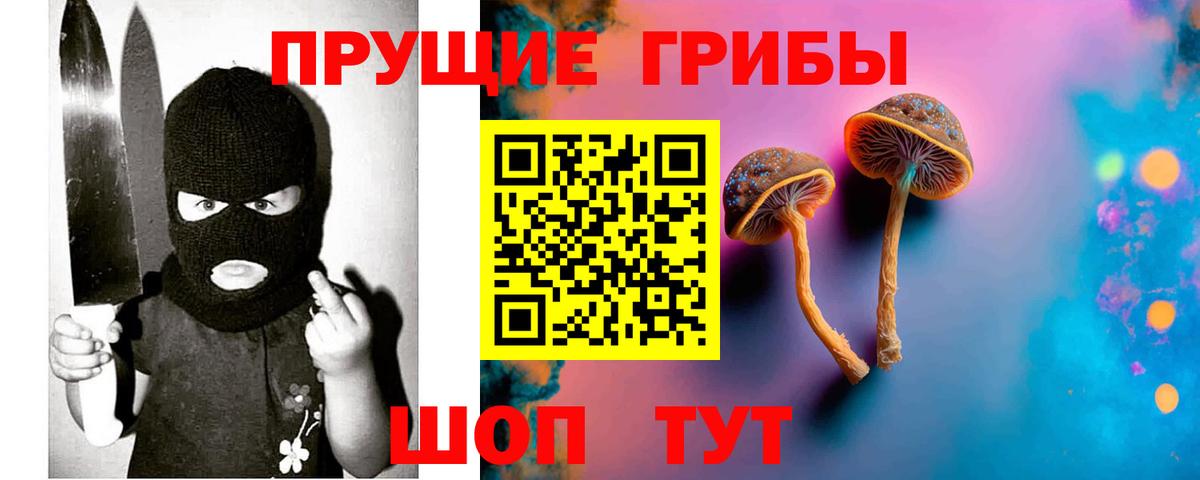 Чапаевск  Галлюциногенные грибы Magic Shrooms  Вход с VPN  Псилоцибиновые грибы Psilocybine cubensis 